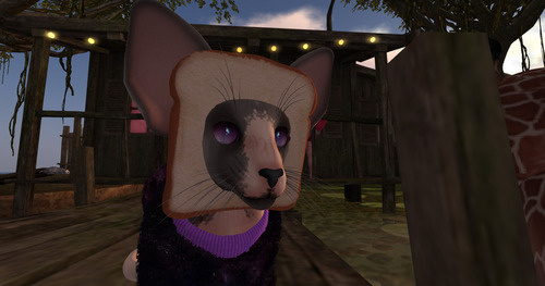 Web 65a6d01b9b3e7a502558ee50