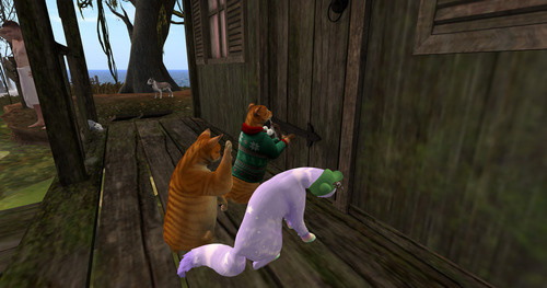 Web 65a72175382a2d5afc68e9e1