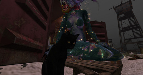 Web 65b86fcf95dcc92cf54c7984