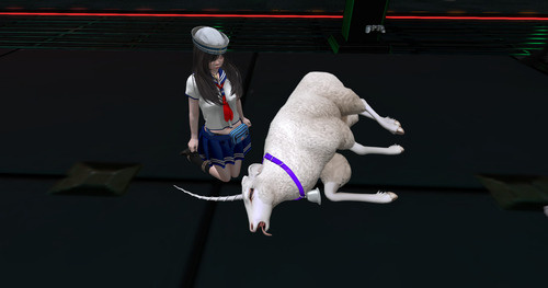 Web 65c9c100bda26c3e1d8917a6