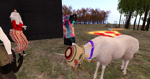 Web 675c70256a4ea5074f5fc270