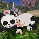 Thumb 53fa13168da5723e58000001