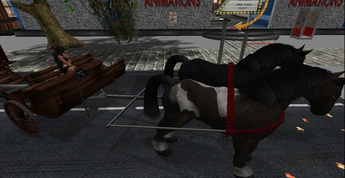 Web 51855c3987f5af6d00000001