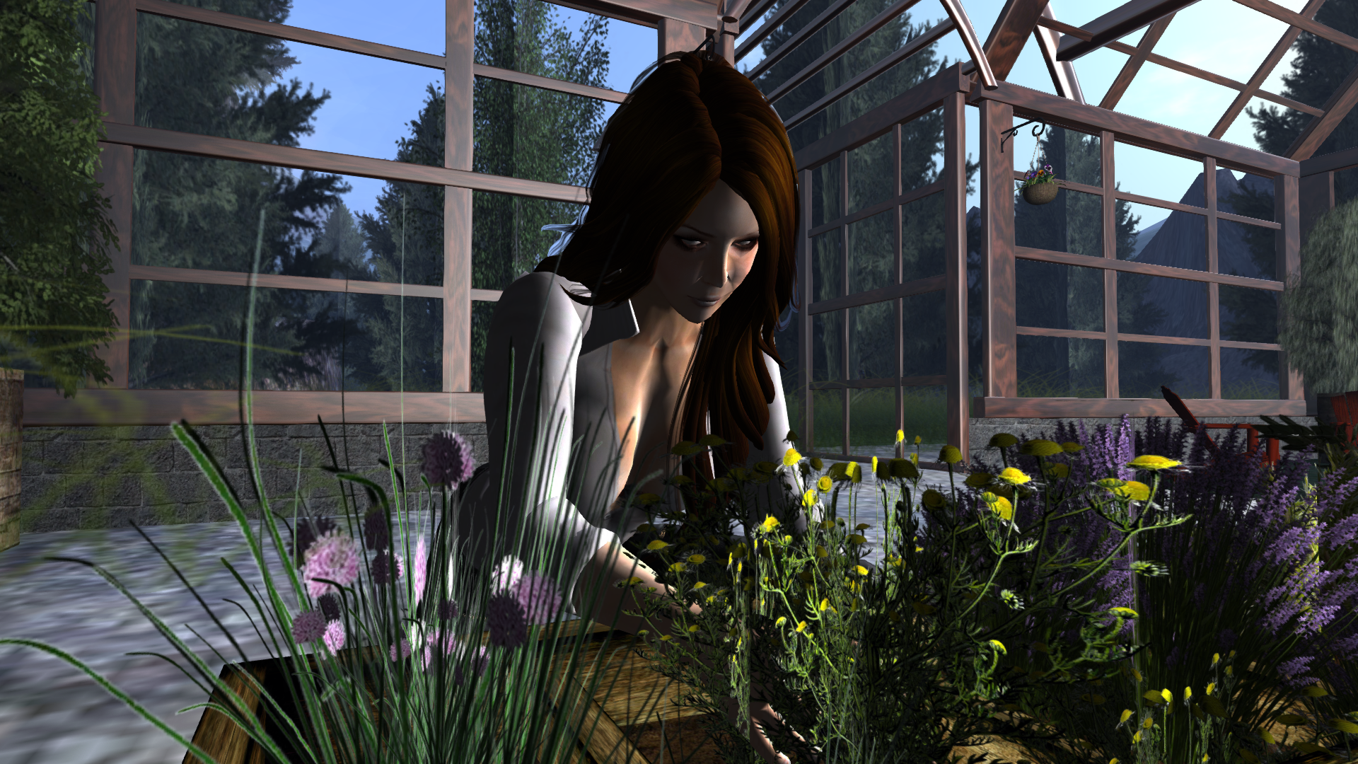 Original 51fac3df39946a01bb000001