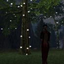 Thumb 5247f9106135e01cb8000001