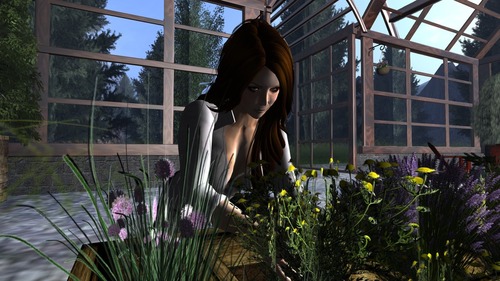 Web 51fac3df39946a01bb000001