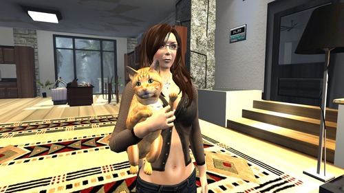 Web 5200c43c6e88a034db000001