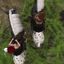 Thumb 4fdd9cc831d57f263e000001