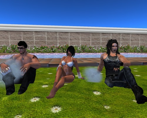 Web 5181d54558807a6f2c000001