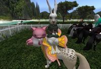 Small 53d9aedba73e21525b000001