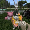 Thumb 53d9aedba73e21525b000001