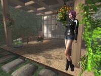 Small 55564003f8a1ec06e3000001