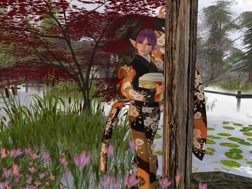 Web 54fb6165f8a1ec2771000001