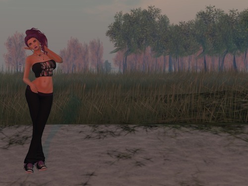 Web 55ec8fd3128cc978bd000001