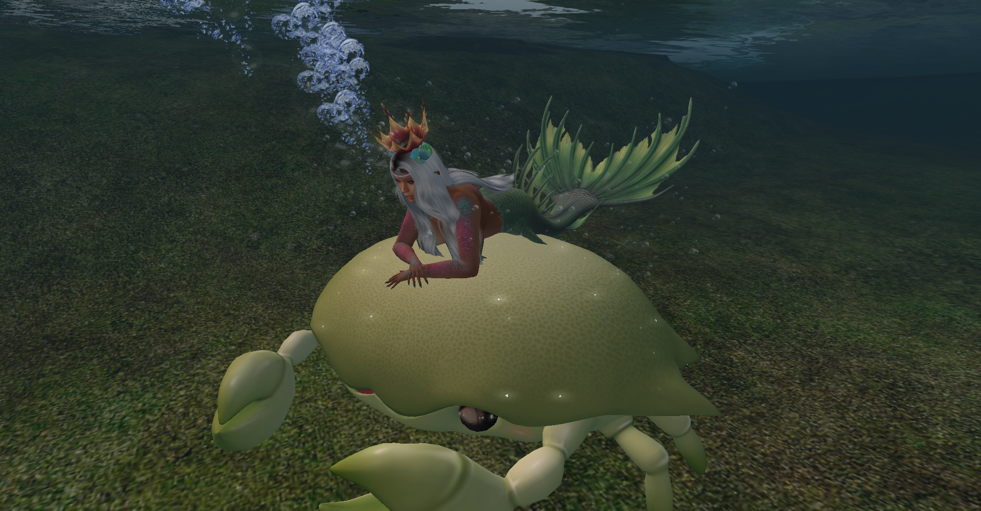 Original 622d449e7b8dd72527656877