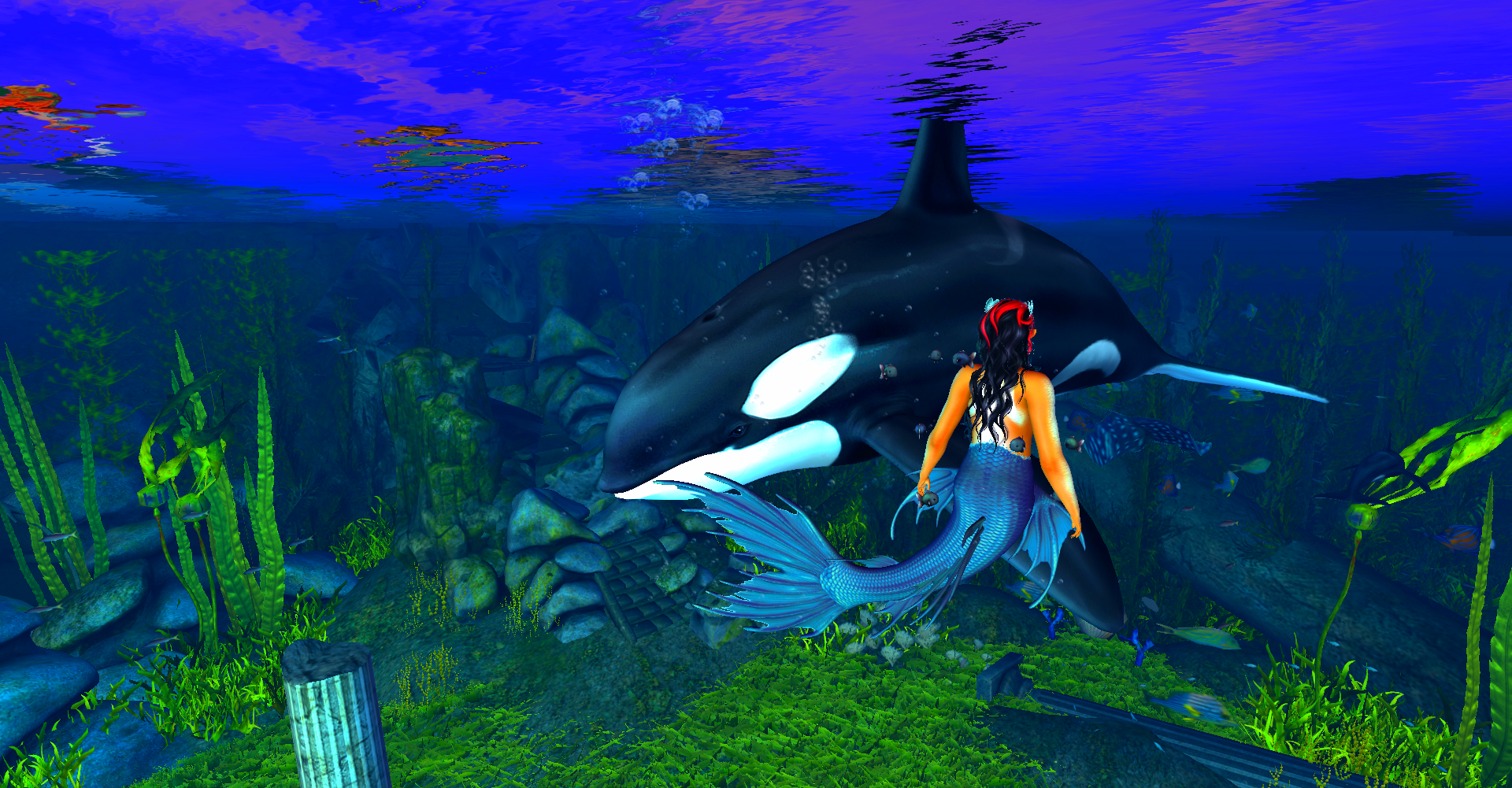 Original 622fb027df1cd554da2fa9d0