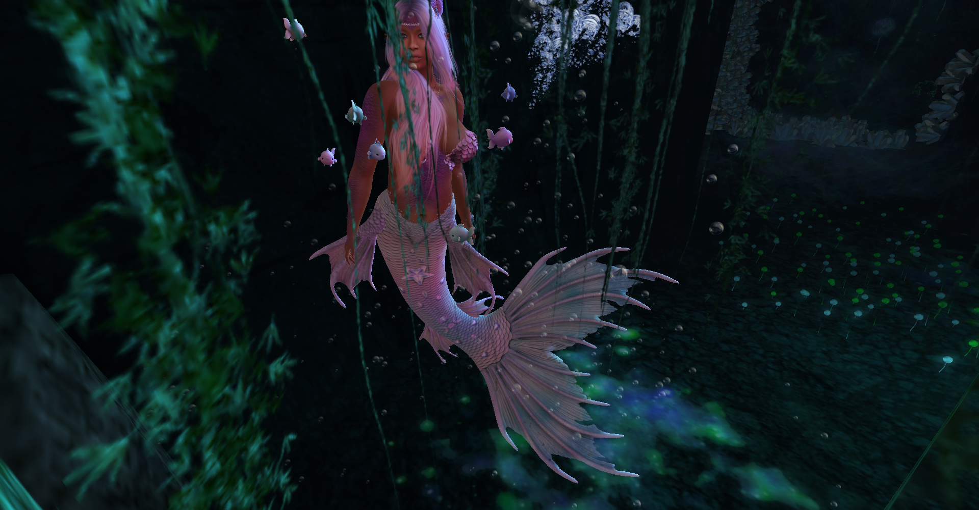 Original 62377808eb58b30345623cb4