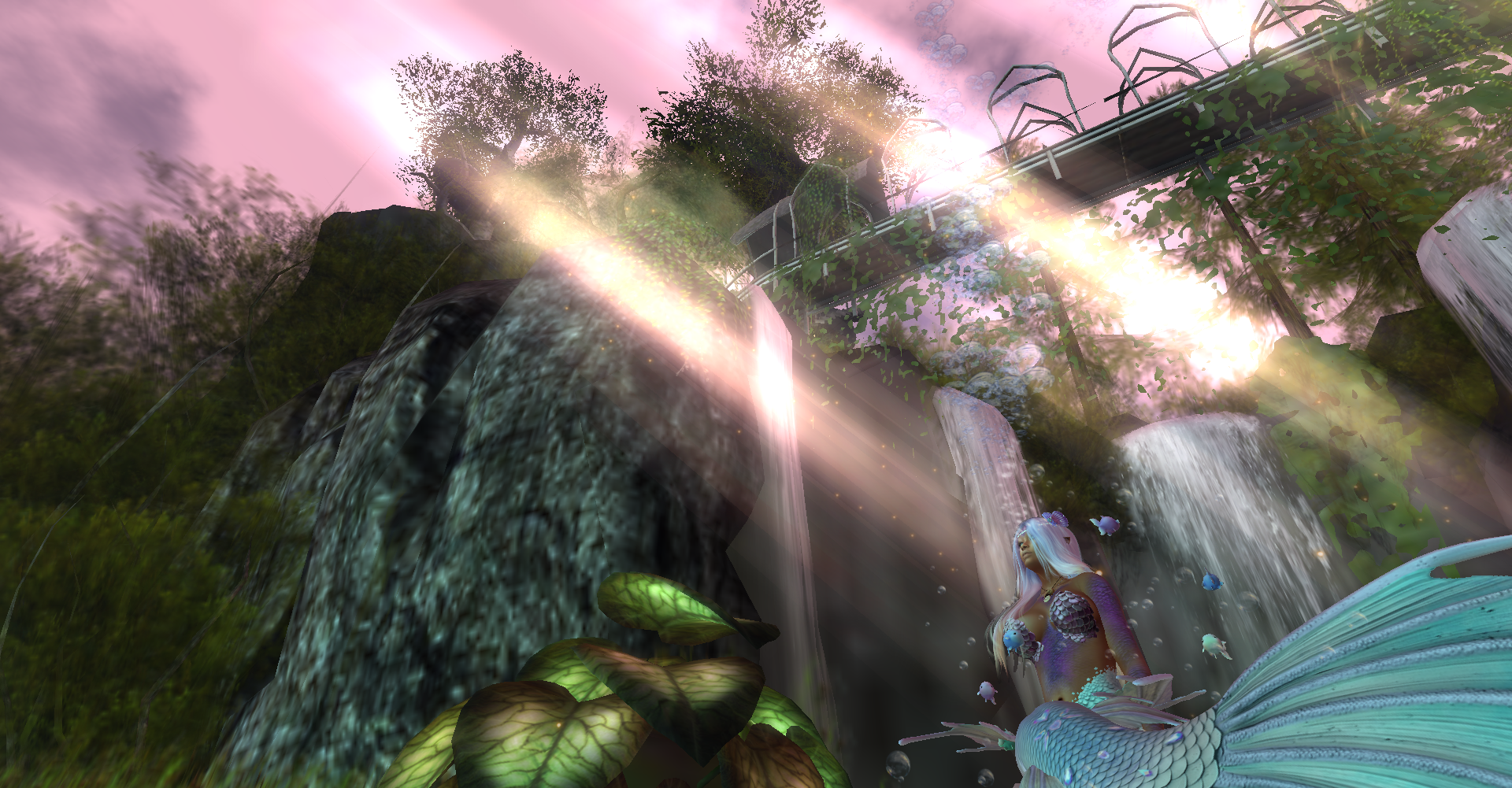 Original 6237794c4ddcbf54e7b39e7e