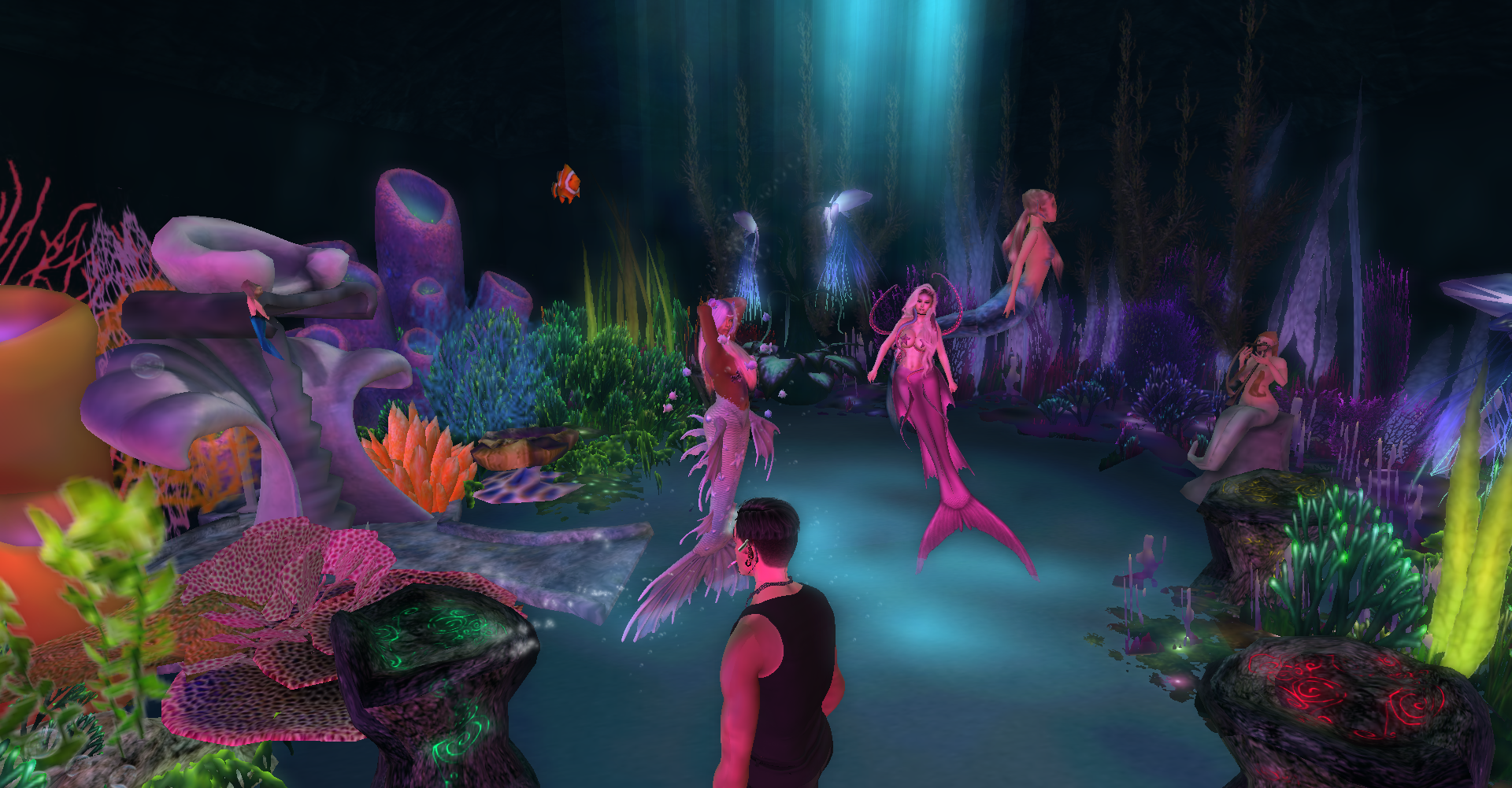 Original 6237b6a798ed953335895231