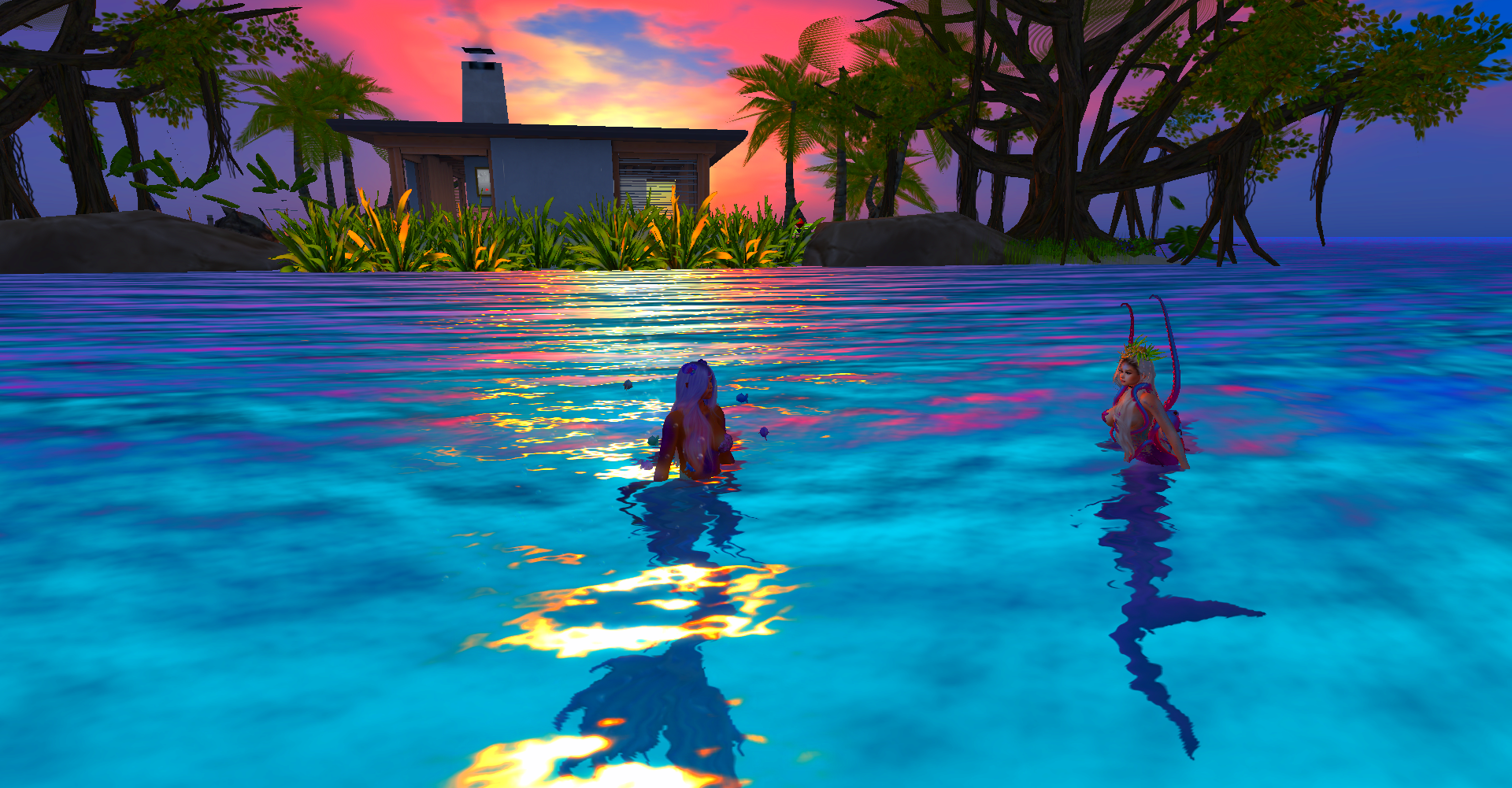 Original 6237ec82e8a5f1409dc1669f