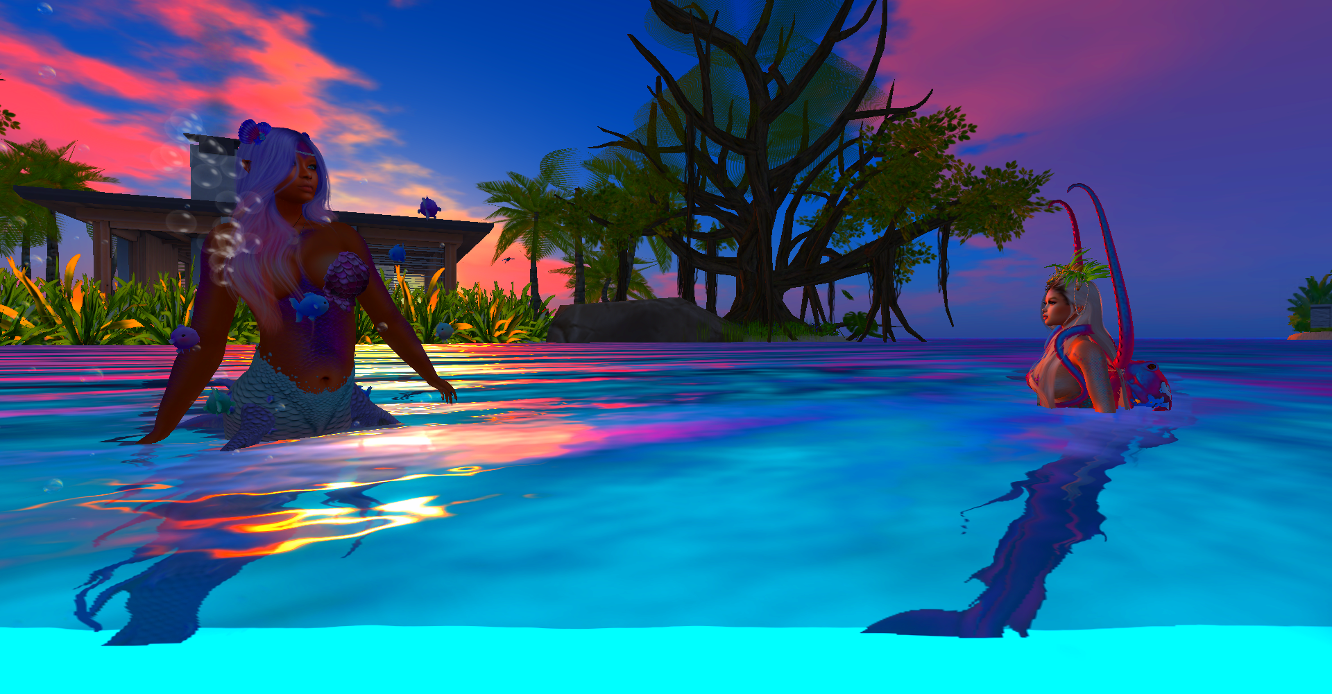 Original 6237ed374ddcbf3ee7b39e7e