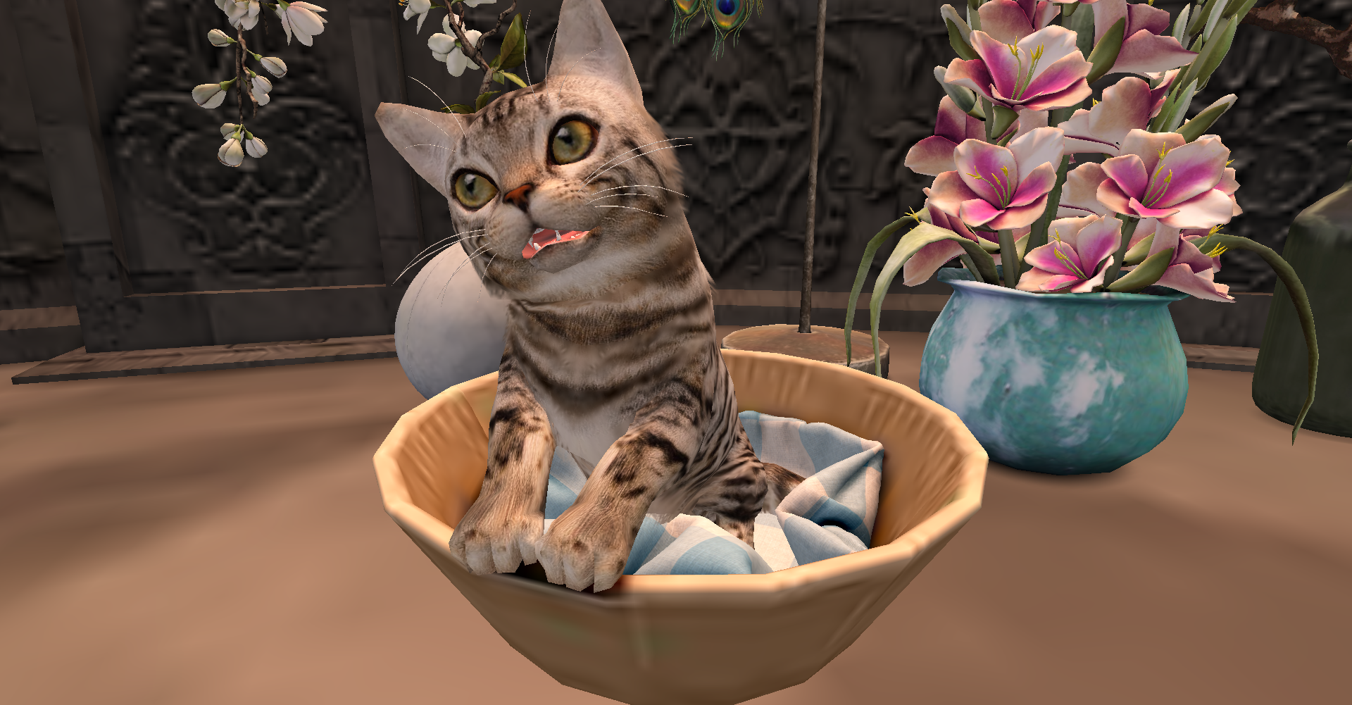 Original 62423d72b9336e12ebeedffd