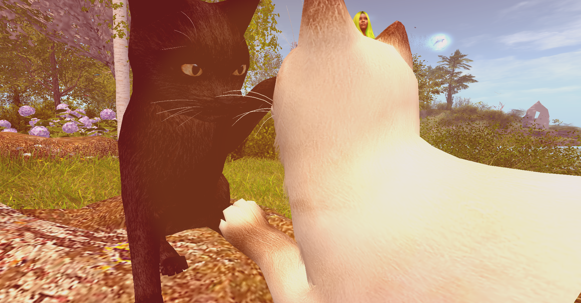 Original 62423fb0972bb655be5db03b