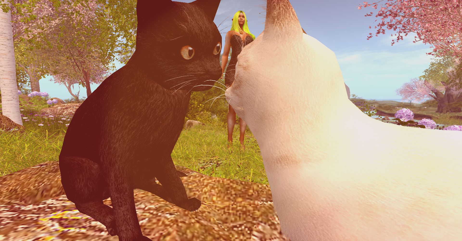 Original 62423fc0272df71294bd308f