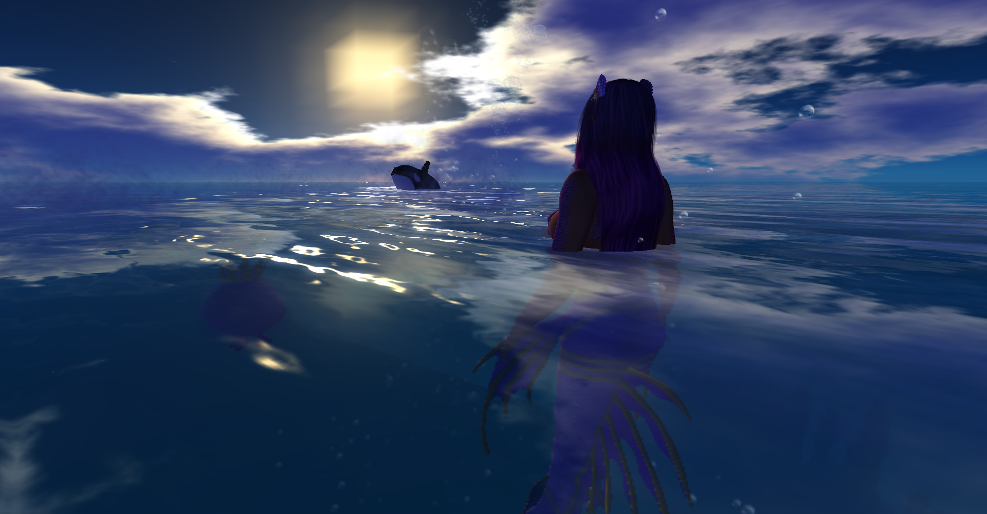 Original 6246ac70df1cd57e762fa9d0