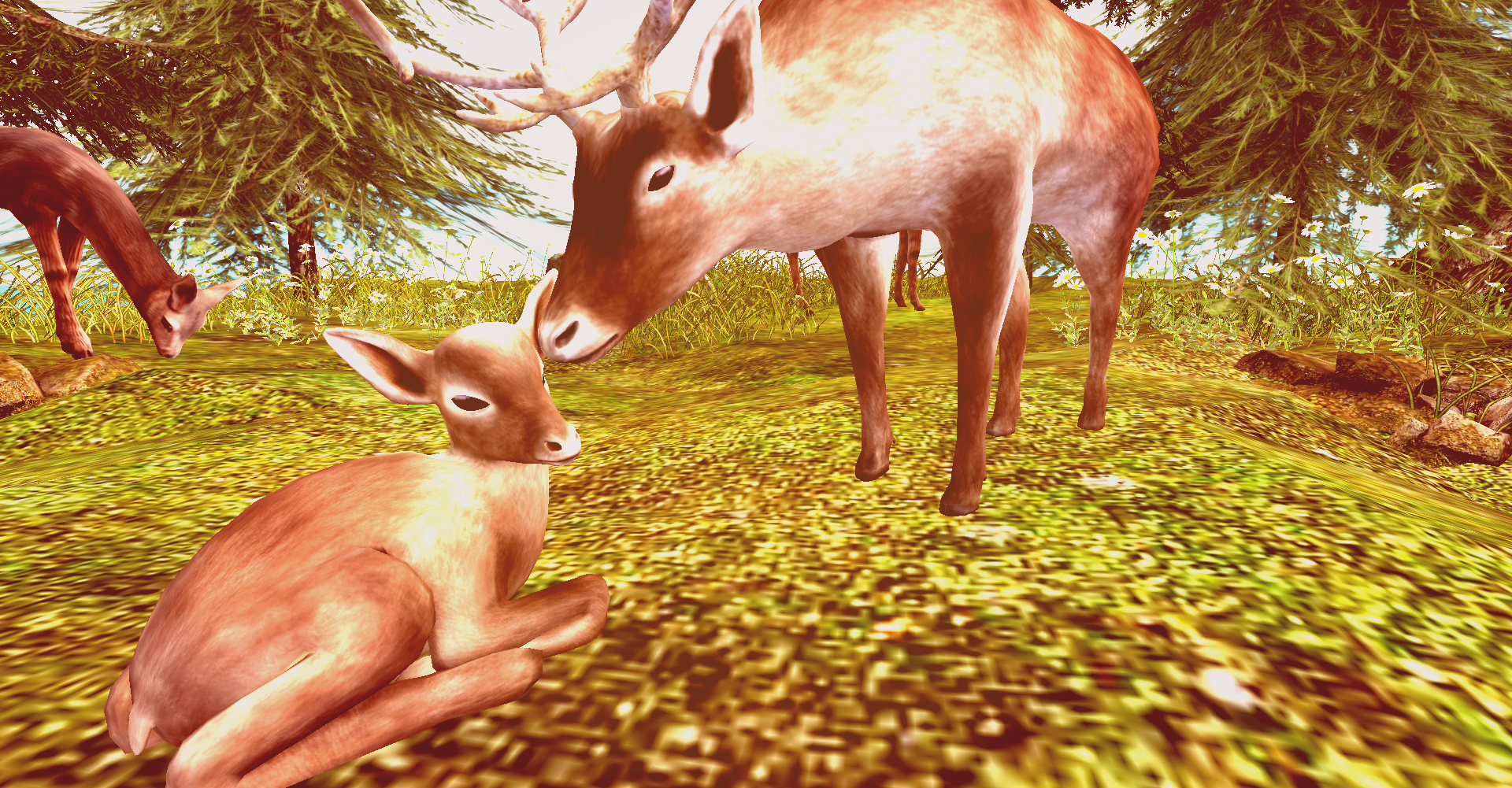 Original 6247442b98ed954286895231