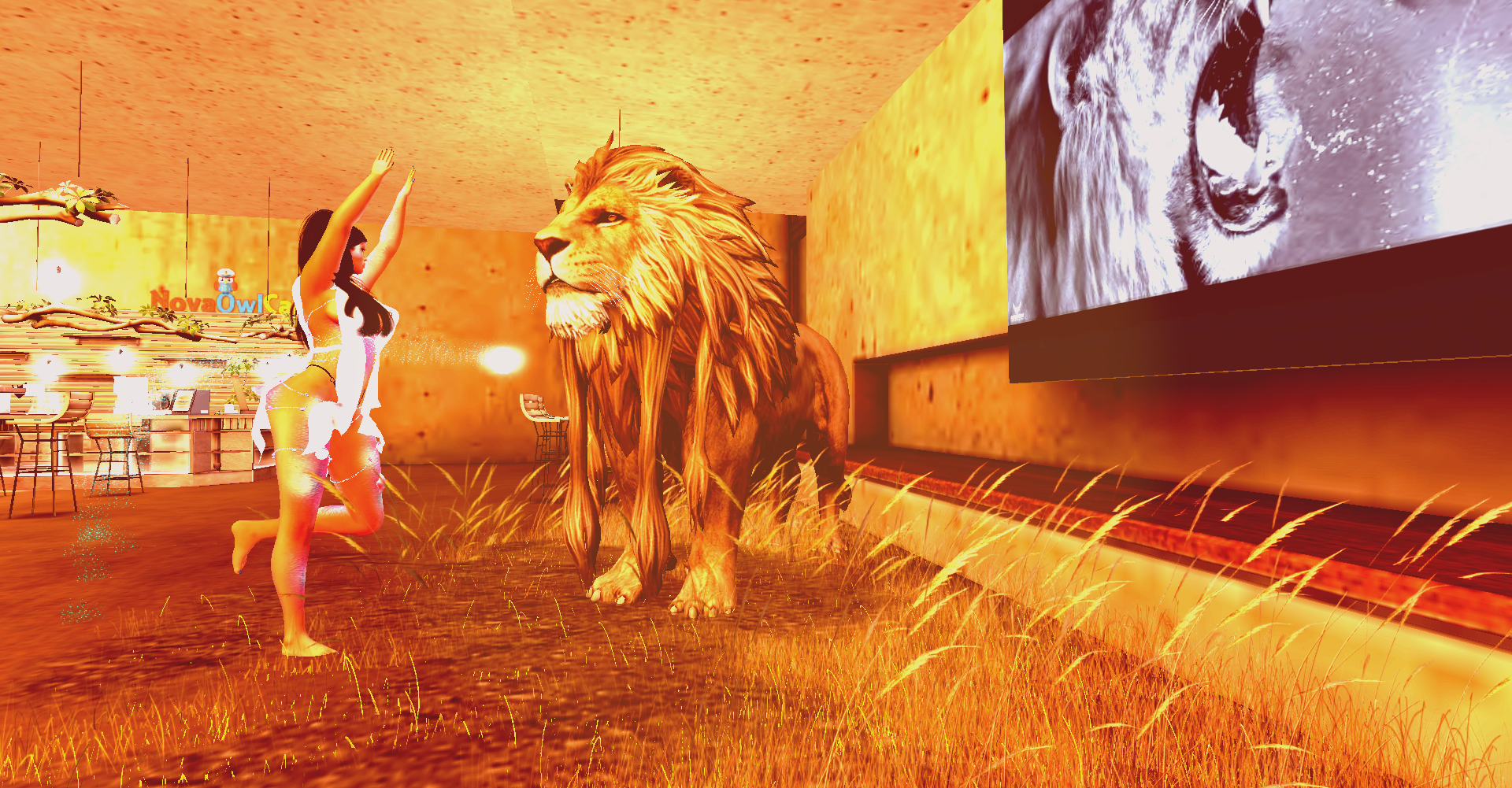 Original 6254bde3972bb622505db03b