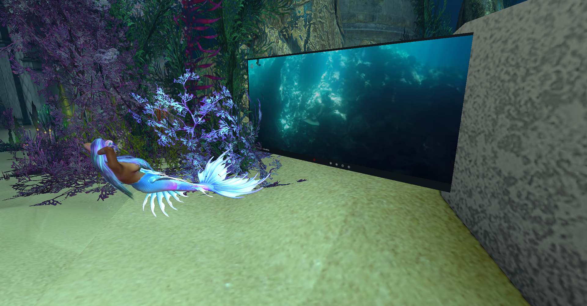 Original 6254ed224ddcbf2029b39e7e