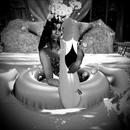 Thumb 6225ad0e272df70961bd308f