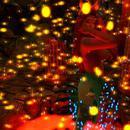 Thumb 62291015c13481741d78f302