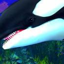 Thumb 622fb06a0854a710b7c1bd52