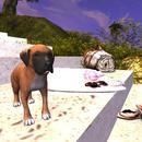 Thumb 622fc1ac4cc9c91c5a675141