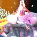 Thumb 6237d943e8a5f11b18c1669f