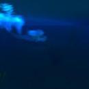 Thumb 623e8226eb58b37c6b623cb4