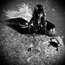 Thumb 623ecd0bdf1cd566172fa9d0