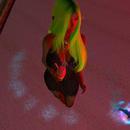 Thumb 623fdb23e8a5f15a4fc1669f