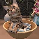 Thumb 62423d72b9336e12ebeedffd