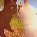 Thumb 62423fc0272df71294bd308f