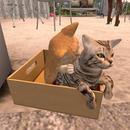 Thumb 624240aa9044f43f84d1fa41