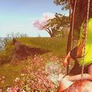 Thumb 62425064e8a5f16041c1669f