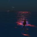 Thumb 6242915fc13481508978f302