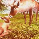 Thumb 6247442b98ed954286895231