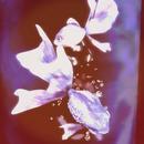 Thumb 624772eeb9336e6a02eedffd