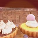 Thumb 624e204062d74560cec8e7a2