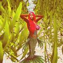 Thumb 624e488fd4afc33dc84a46f3