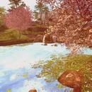 Thumb 624e5cf3e8a5f11649c1669f